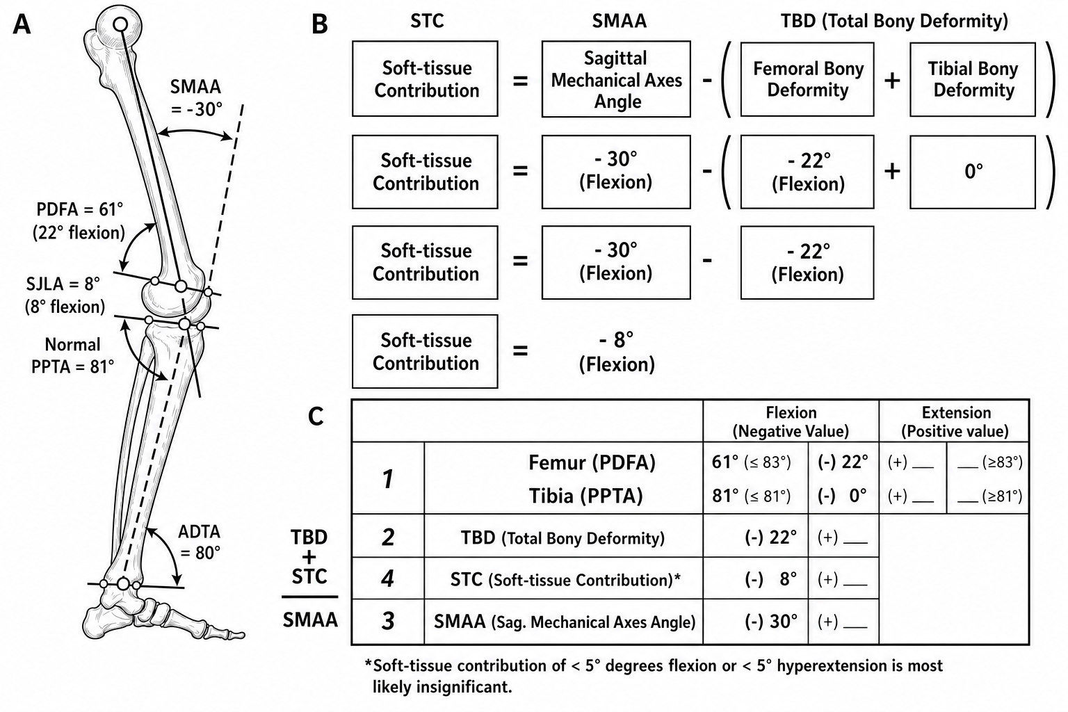 Monochrome sagittal deformity analysis drawing