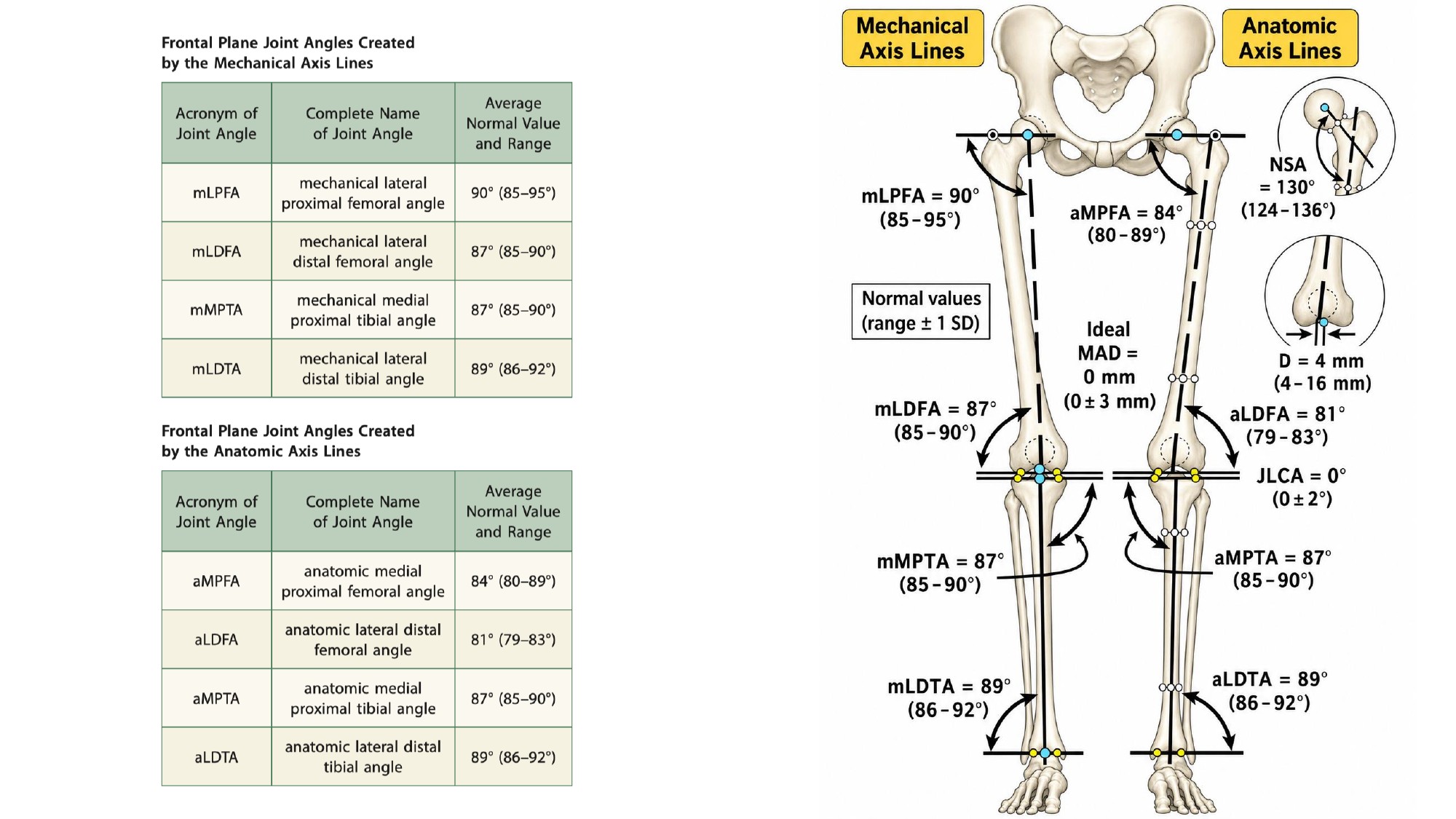 Standing radiograph alignment and deformity analysis